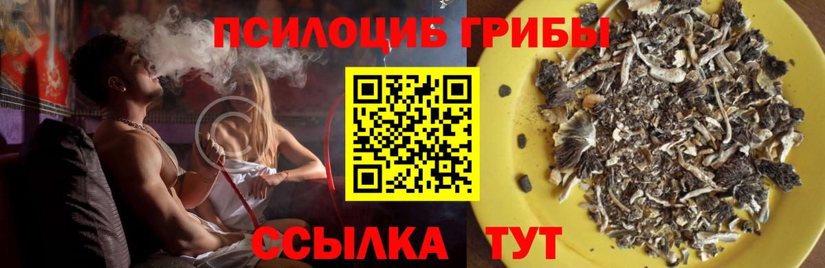 Галлюциногенные грибы мухоморы Лангепас